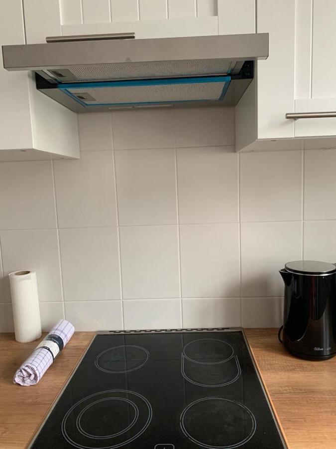 Apartament Zieleniec Stary Toruń 外观 照片
