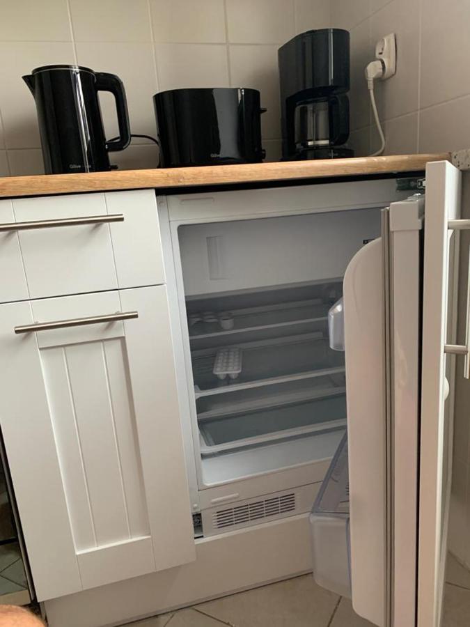 Apartament Zieleniec Stary Toruń 外观 照片