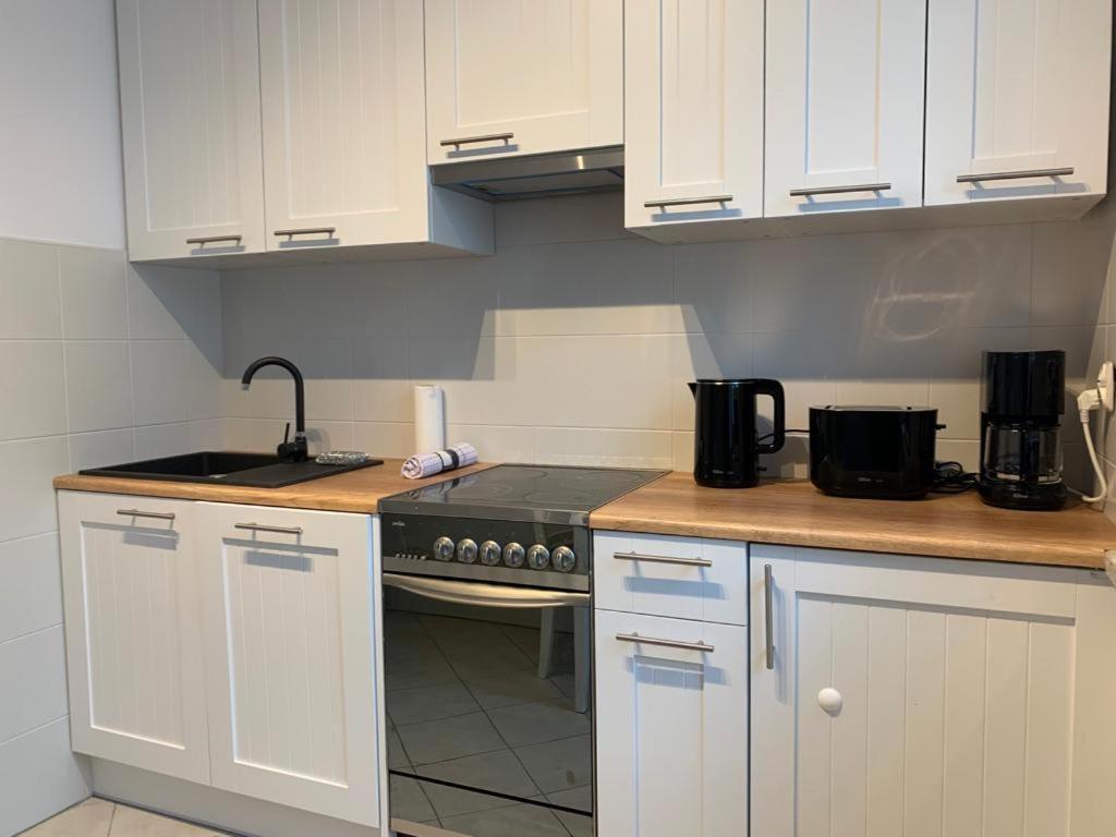 Apartament Zieleniec Stary Toruń 外观 照片